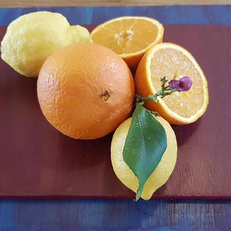 Villa Selene, Mountain Views, No Stairs, 2 Km From *