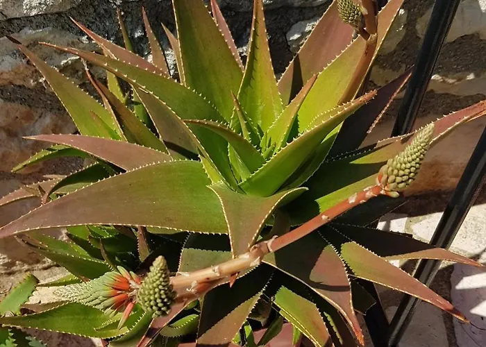 ヴィラ Selene, Mountain Views, No Stairs, 2 Km From ハニア