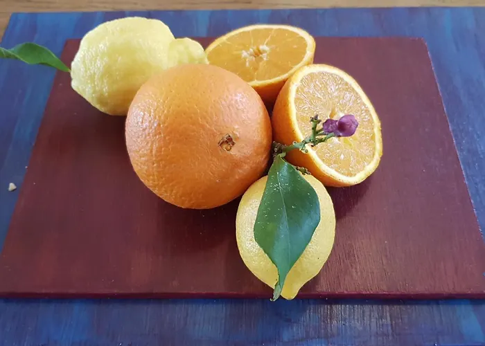 Villa Selene, Mountain Views, No Stairs, 2 Km From *